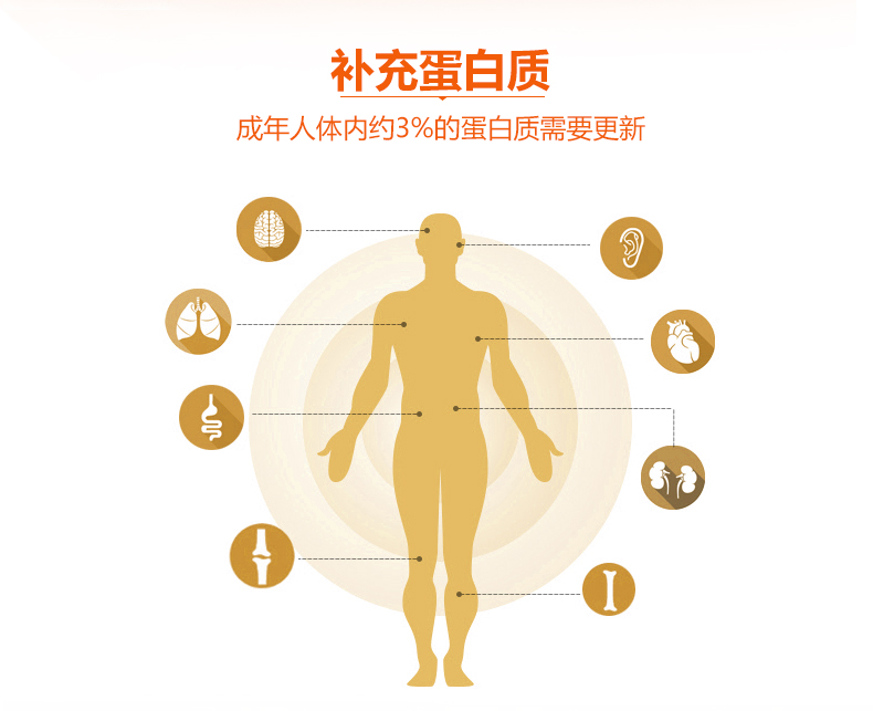 乳清蛋白质粉-详情_05.jpg