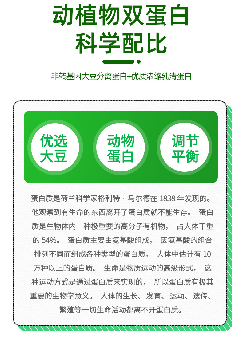 绿环详情_04.jpg